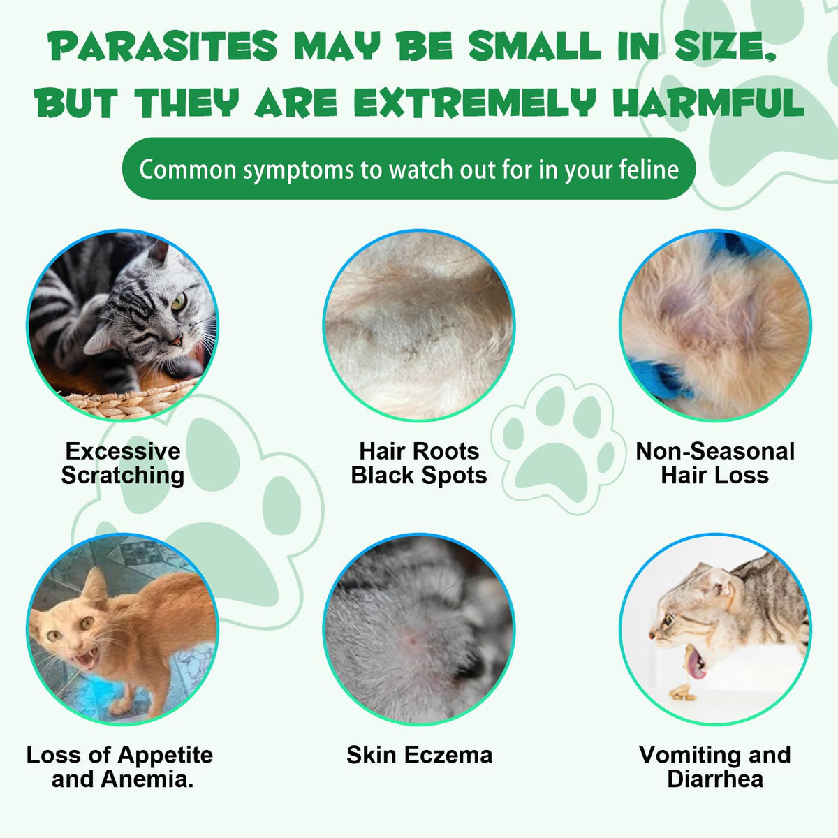 Probiotic Digestive Support for Cats V3048