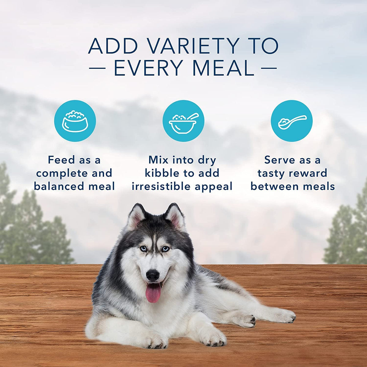High Protein Wet Food for Senior Dogs, Turkey & Chicken, 12.5-oz Cans, Pack of 24 H1634