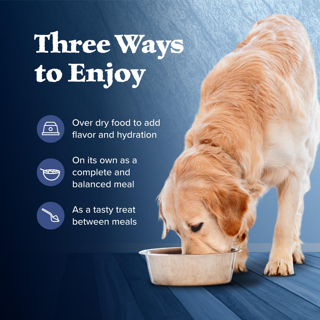 High Protein Wet Food for Senior Dogs, Turkey & Chicken, 12.5-oz Cans, Pack of 24 H1634